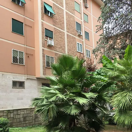 Eucalyptus - San Paolo - * Ρώμη